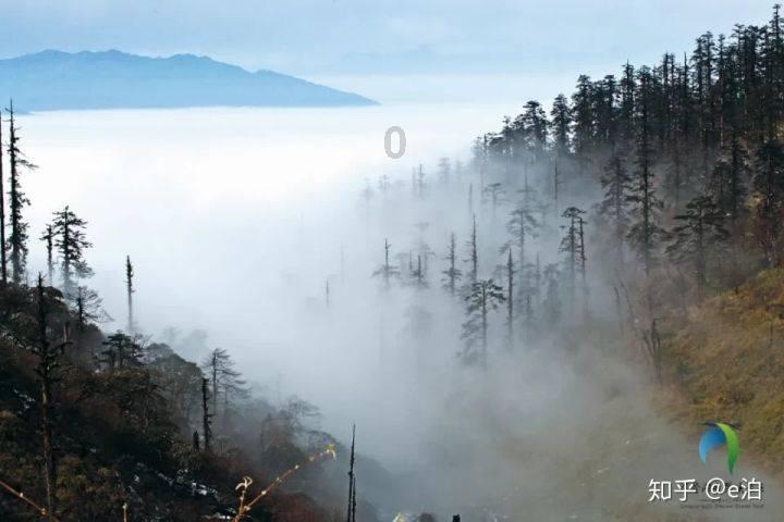 两极反转!LPL春季赛Bin二擒369,Missing聊天记录解释选赛恩真因
