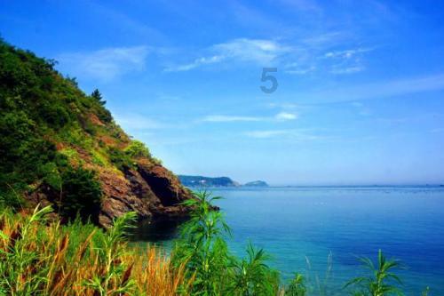 元代青花瓷 可以参加海外国际市场拍卖吗游戏画面