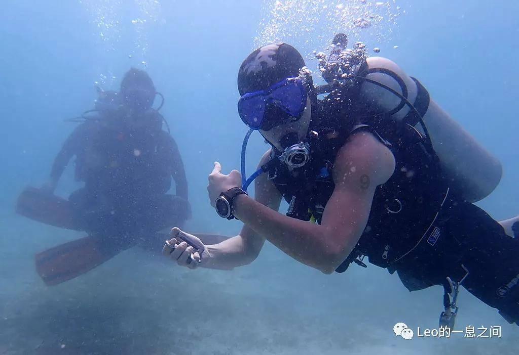 网红白狐狸遭遇“滑铁卢”，独自躲在角落里生闷气