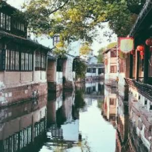 长颈鹿脖子那么细长，为什么不会得脑溢血？游戏画面